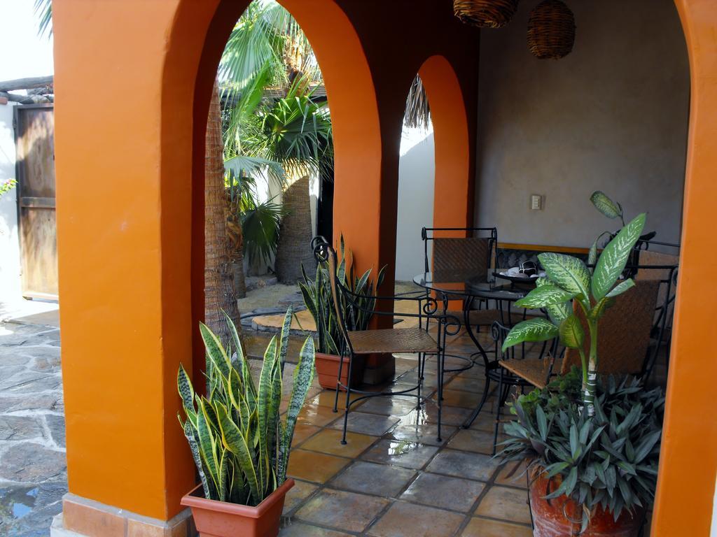 Leo'S Baja Oasis Hotell La Paz Rom bilde