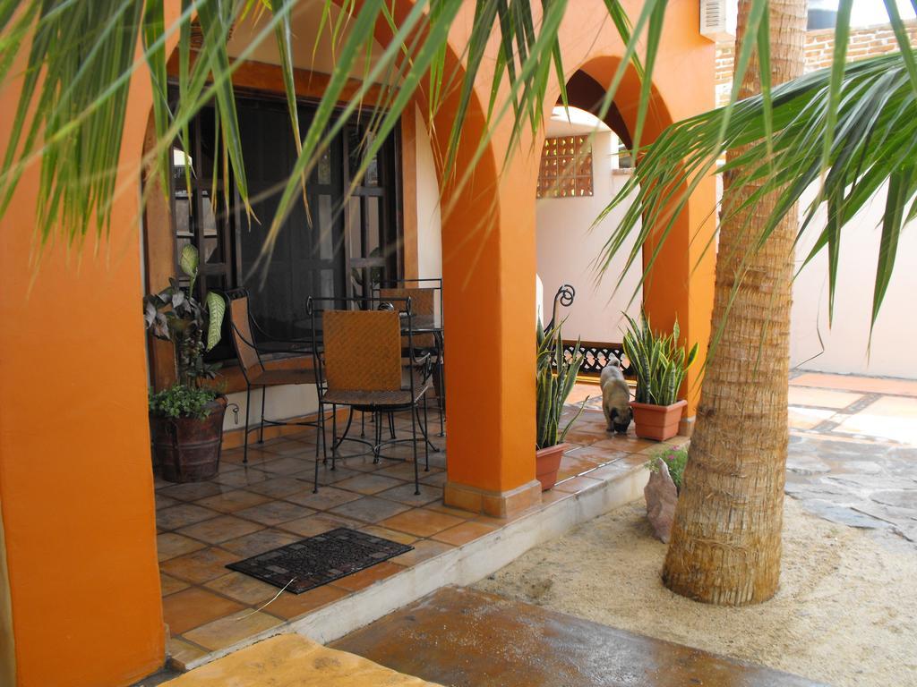 Leo'S Baja Oasis Hotell La Paz Rom bilde