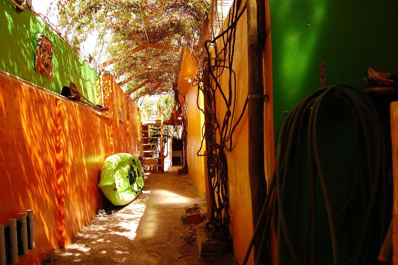 Leo'S Baja Oasis Hotell La Paz Eksteriør bilde