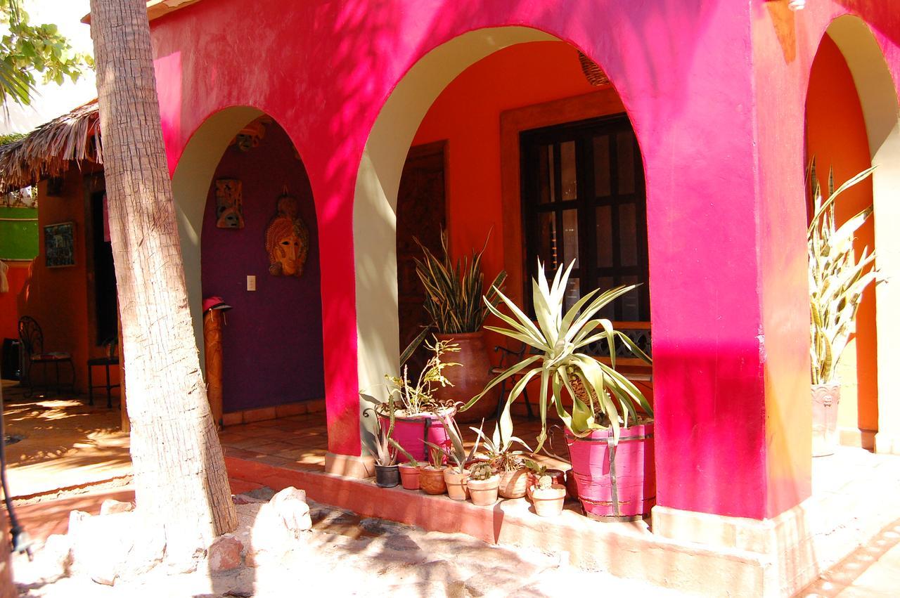 Leo'S Baja Oasis Hotell La Paz Eksteriør bilde