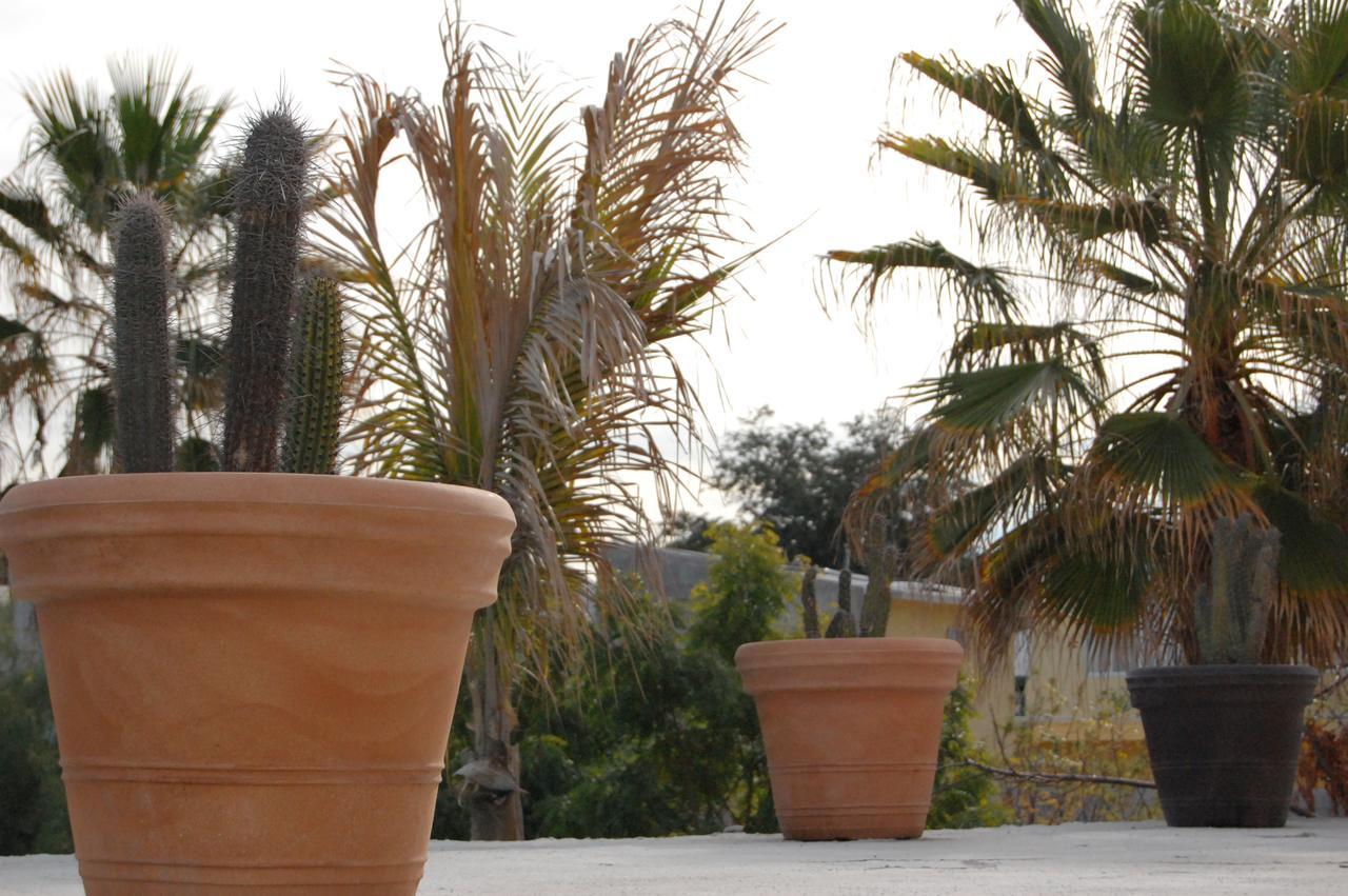Leo'S Baja Oasis Hotell La Paz Eksteriør bilde