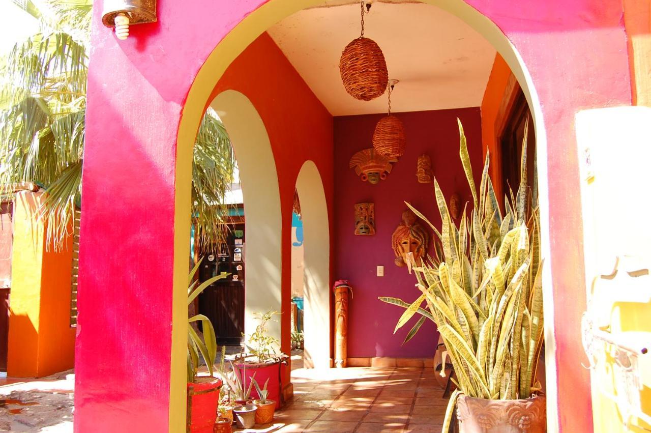 Leo'S Baja Oasis Hotell La Paz Eksteriør bilde