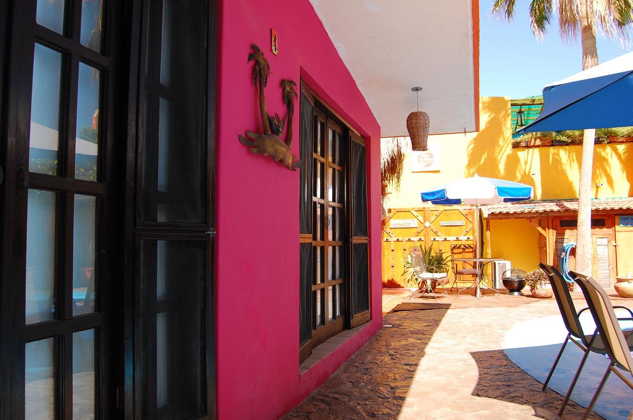 Leo'S Baja Oasis Hotell La Paz Eksteriør bilde